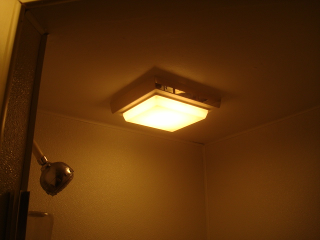 Improper Shower Light Fixture